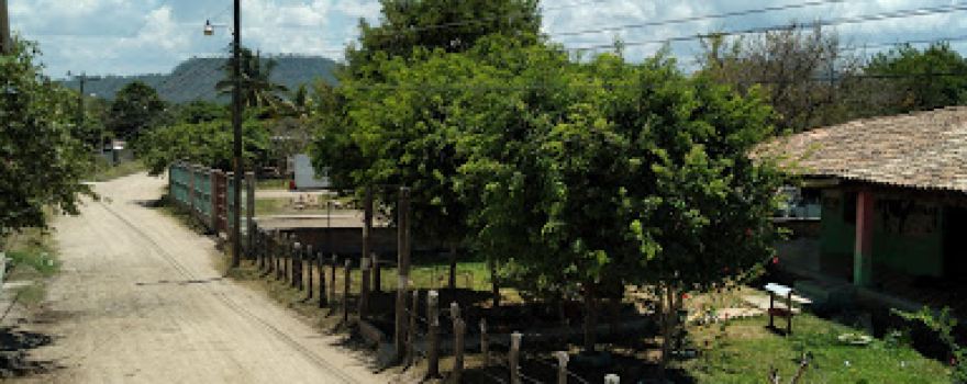 Santa Cruz Cedros F.M