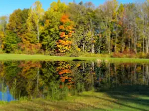 Radisson Greens Golf Course