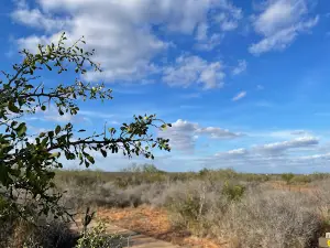 Chaparral Wildlife Management Area