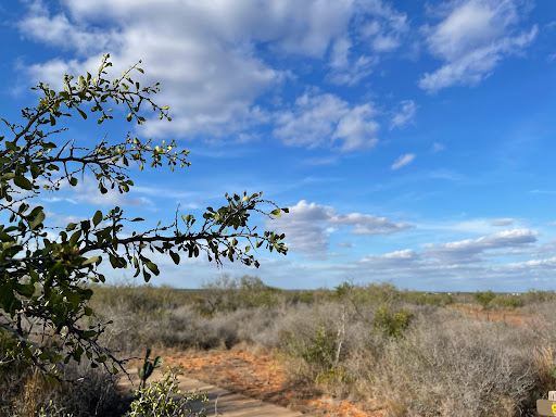 Chaparral Wildlife Management Area