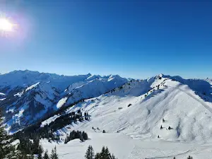 Walmendingerhornbahn