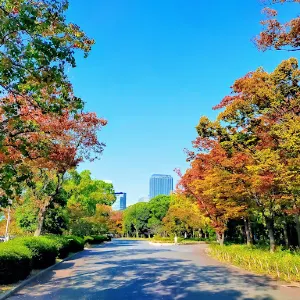 記念樹の森
