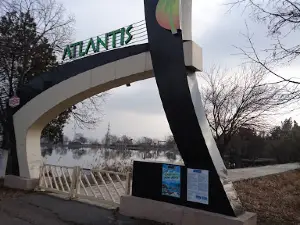 Tess Club International