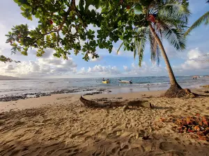 Playa Puerto Viejo