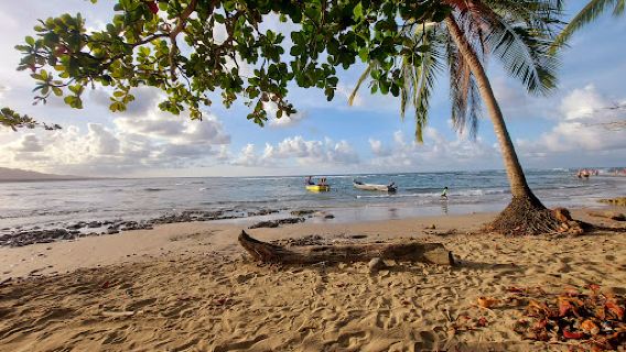 Playa Puerto Viejo