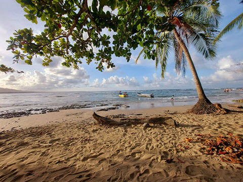 Playa Puerto Viejo