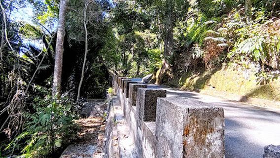 Hutan Lipur Bukit Larut, Taiping