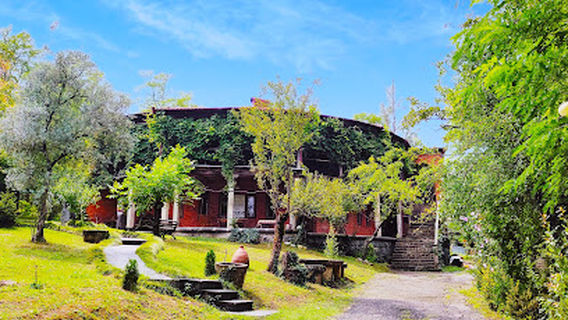 Otia Ioseliani's Museum