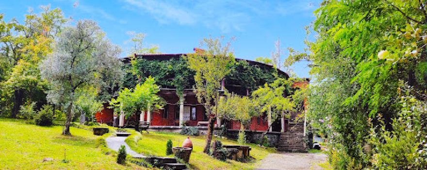 Otia Ioseliani's Museum