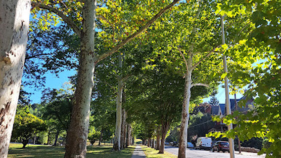 City Park