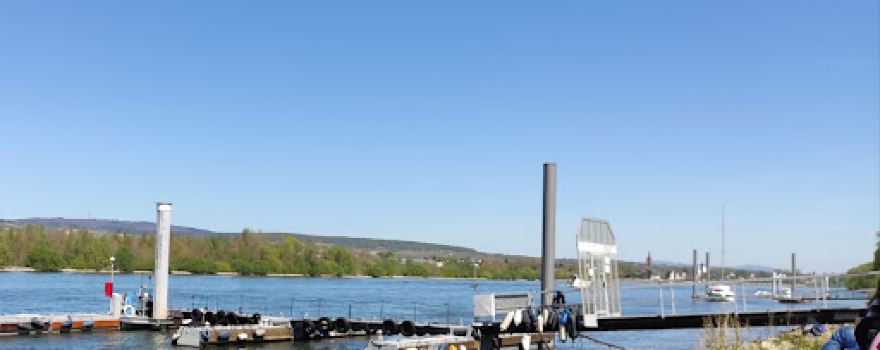 Campingplatz, Wein- und Biergarten "Inselrhein"