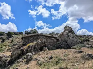 Foresta di Montes