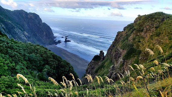 Piha