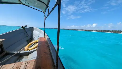 Starfish