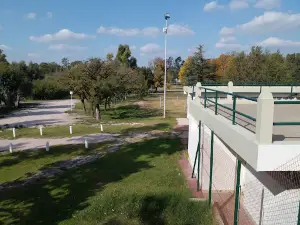 Municipal Pigüé Park