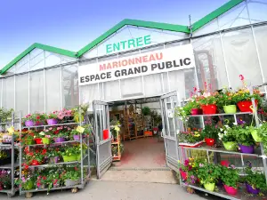JARDINERIE MARIONNEAU Angers sud