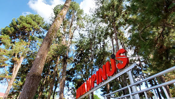 Hutan Pinus Tana Tidung