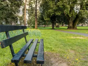 The People's Park