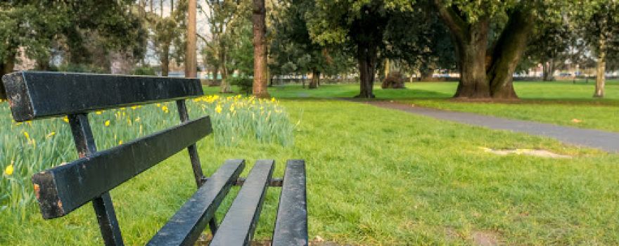 The People's Park