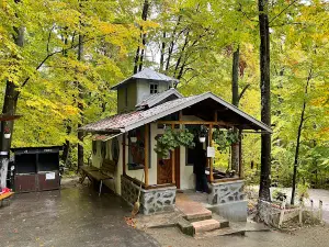 Cure springs' church