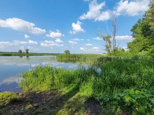 Special Perch Fishery