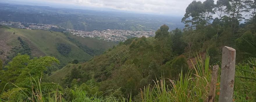 VEREDA ALTO TUNIA