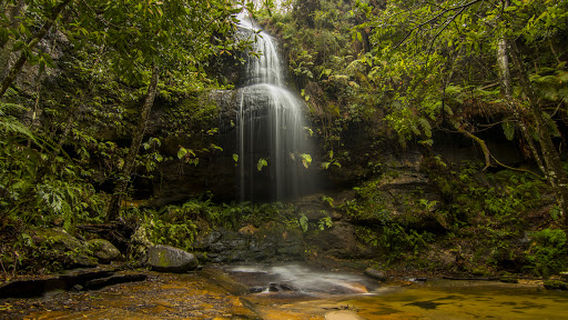 Wentworth Falls