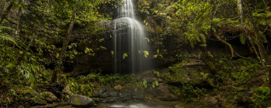 Junction Falls