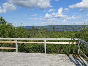 Woolfrey's Pond Trail