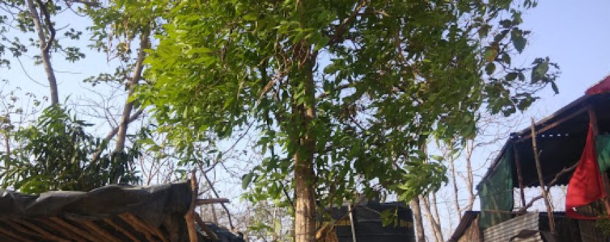 Bhairav Baba Temple