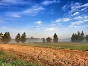 Бебжа