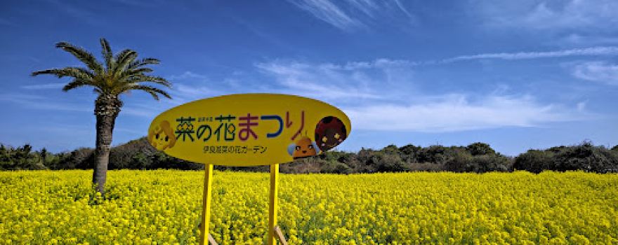 Irago Canola Garden