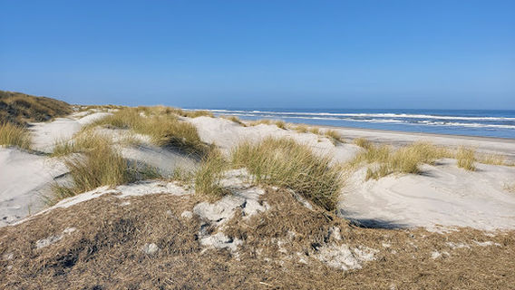 Melkhörndüne - Tourismus-Service Langeoog