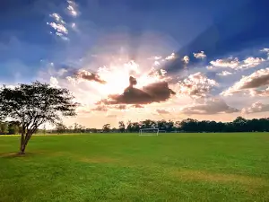 Sidney Hutchinson Park