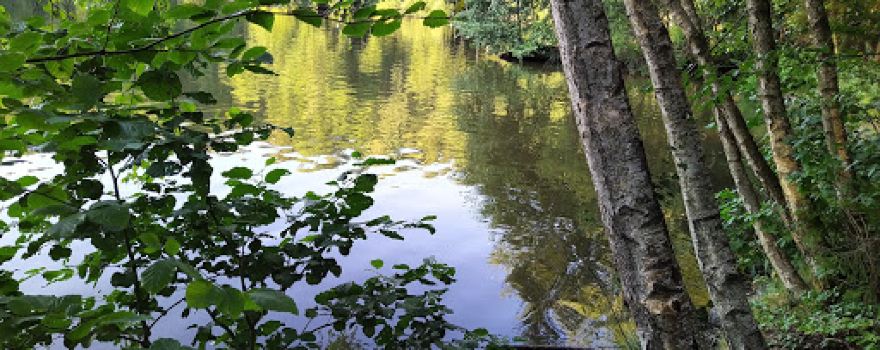 Campingplatz Argenthal