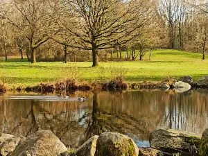 Walter Peters Park