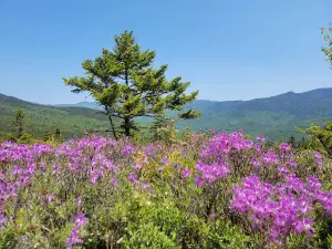 Welch-Dickey Trailhead