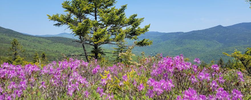 Welch-Dickey Trailhead