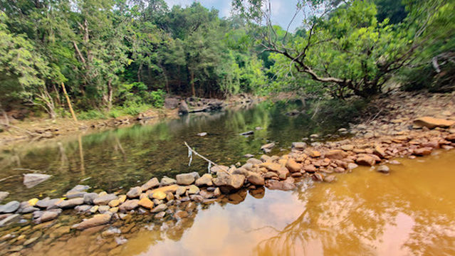 Dudhsagar Waterfall trip Goa