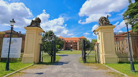Ruiny Pałacu Brühla w Brodach