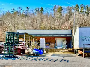 Wayne's Feed Store