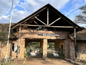 Maasai Mara tours Oloolaimutia Gate