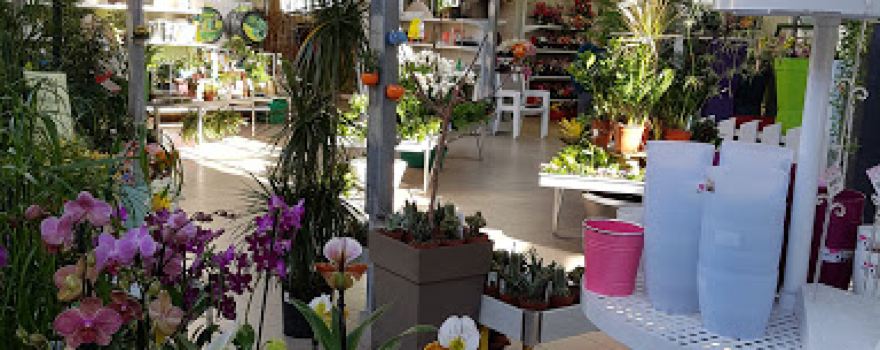 Jardinerie de la Plaine