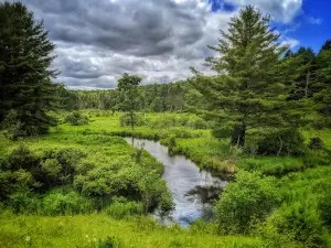 Beaver Meadows Recreation Area
