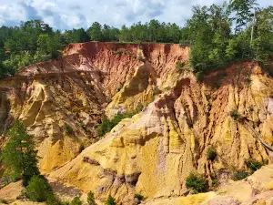 Red Bluff Hike