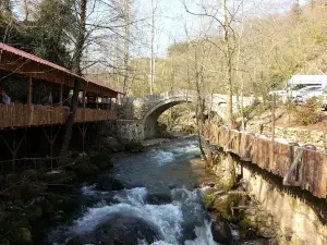 KARAKAYA PİKNİK ALANI ÇAY BAHÇESİ
