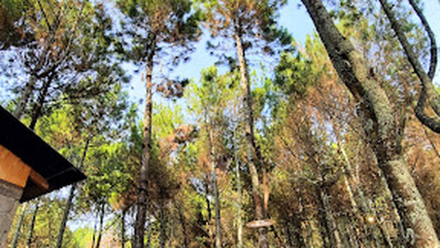 Batu Campsite (Camping Ground)