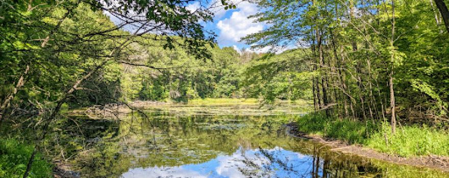 Chippewa Moraine State Recreation Area