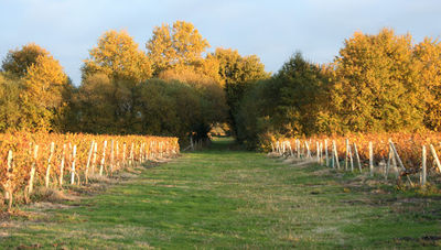 Château La Hourcade