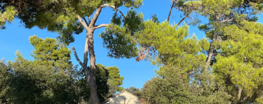 Autocamp Pineta